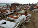 Sardines on the beach