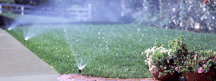 SAVE SOME GREEN: Adjusting your sprinklers is a good place to start
