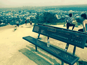 A Place to Remember: Amy's Bench in Runyon Canyon (Andy Newton Lee)