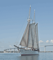 Simply Marvellous: the schooner Bill of Rights