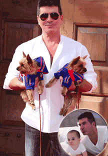 simon-cowell