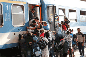 DESPERATION: Syrian refugees struggle to board a train in Hungary this week